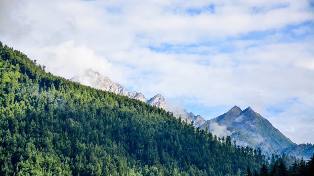 hiking mack prioleau